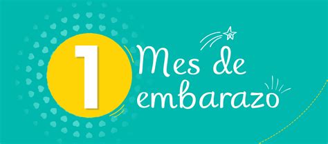 Primer Mes De Embarazo ¿qué Esperar Pampers®