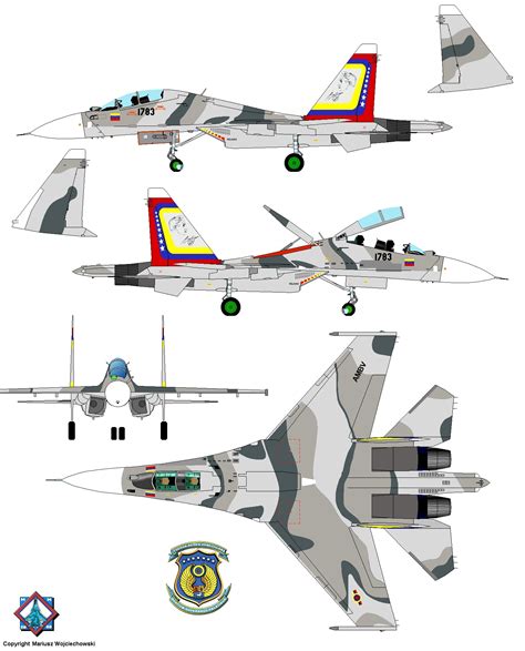 Sukhoi Su-30 story in colours. Sukhoi Su-30 fighter worldwide ...