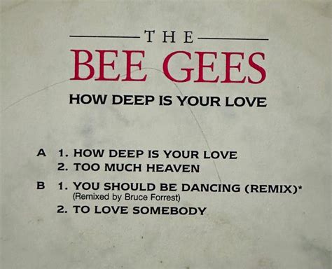 The Bee Gees Vinyl Records LP Plaka Hobbies Toys Music Media