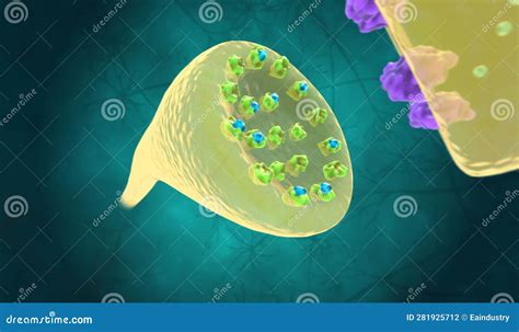 The Low Dopamine (Neurotransmitter) Transmission Stock Illustration ...