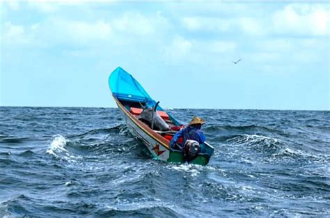 Masih Besarkah Potensi Perikanan Tuna Di Indonesia