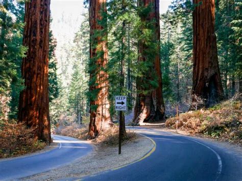 Visiting Sequoia National Park What To Expect Throughout The Year