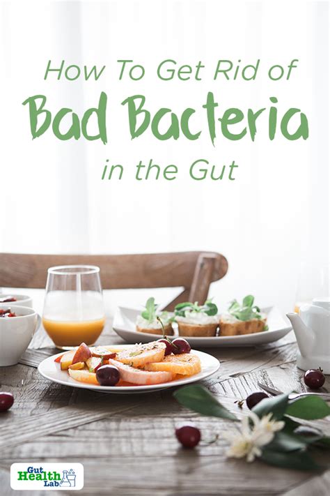 How To Get Rid Of Bad Bacteria In The Gut Gut Health Lab Gut Health