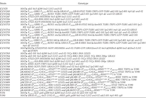 Table 1 From The Regulation Of Microtubule Dynamics In Saccharomyces