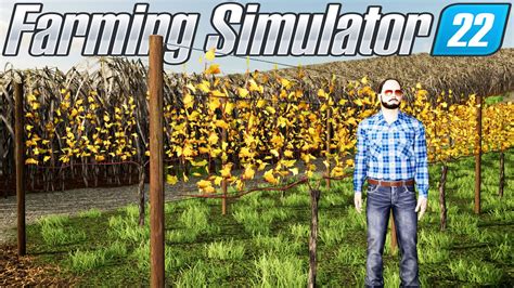 AS NOVAS VINHAS DOS GURI Os Guri Farming Simulator 22 EP 57 YouTube