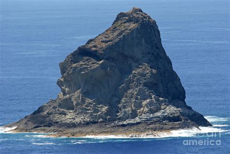 Gorilla Island Photograph By Francisco Leitao Fine Art America