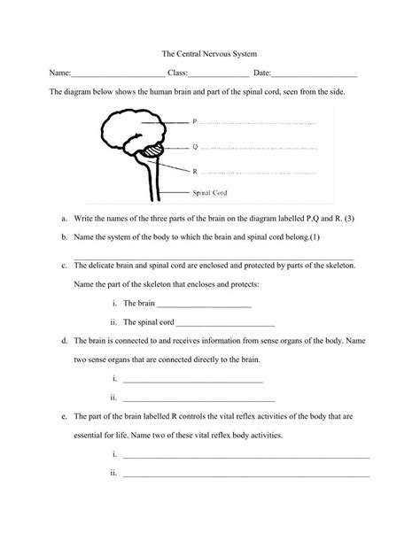 Nervous System Online Worksheet For 6 8 Live Worksheets Worksheets Library