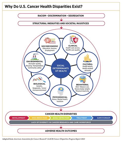 AACR Report Shines Light On Cancer Health Disparities LaptrinhX News