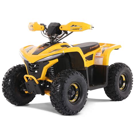 Electric ATVs - DENAGOPOWERSPORTS.com