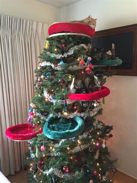 Christmas Tree Cat Scratcher