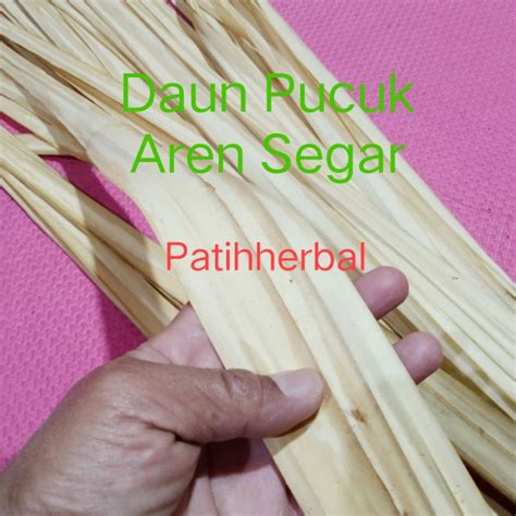 Jual Daun Pucuk Pohon Aren Segar Per Gram Shopee Indonesia