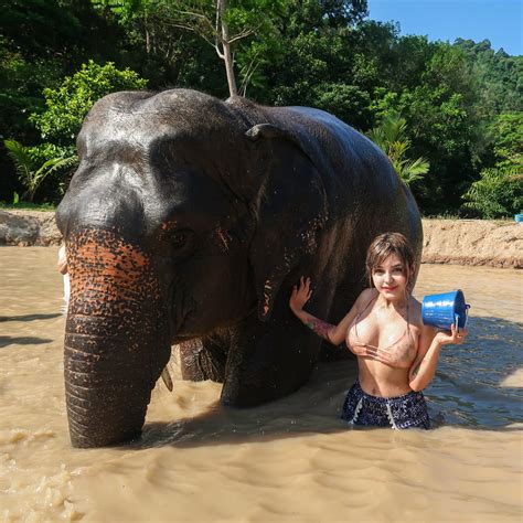 KFOX Vacation Porn Pictures XXX Photos Sex Images 3743189 PICTOA