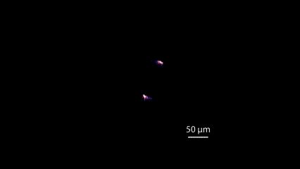 Mit Engineers Develop A Low Cost Terahertz Camera Using Quantum Dots