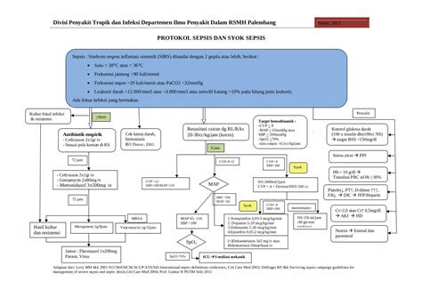 Pdf Protokol Sepsis Berat Dan Syok Sepsis Dokumen Tips