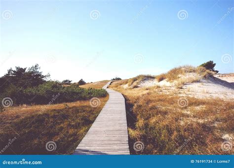 Walking through the Western Pomerania Lagoon Area National Park Stock Photo - Image of europe ...