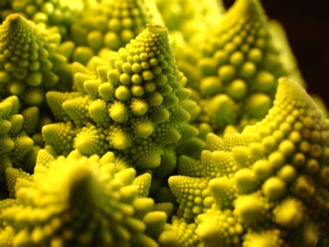 Close Up Of Romanesco Cauliflower Fractal Vegetable Close Up Macro