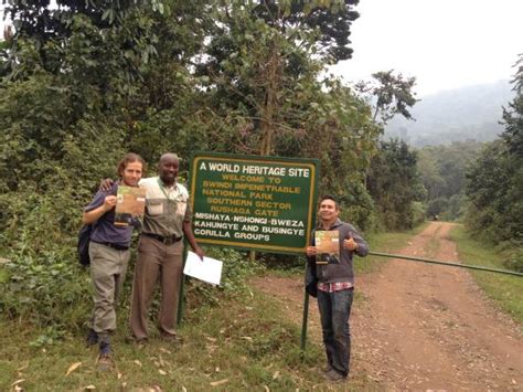 Rushaga Region Sector Of Bwindi National Park Rushaga Gorilla Trekking