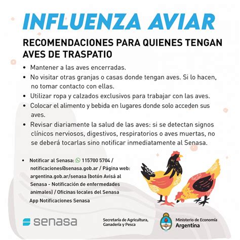 Influenza Aviar Argentina Gob Ar