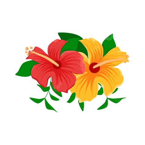 Red And Yellow Hibiscus Flower Vector Hibiscus Flower Flowers Png