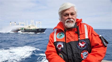 Canadian Anti Whaling Campaigner Paul Watson Arrested In Greenland