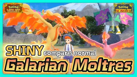 Galarian Moltres Shiny Vs Normal Legendary Pokemon Comparison