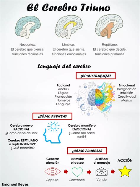 El Cerebro Triuno Pdf