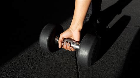 total body dumbbell workout  beginners