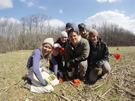 Tree Species Diversity Increases Likelihood of Planting Success ...