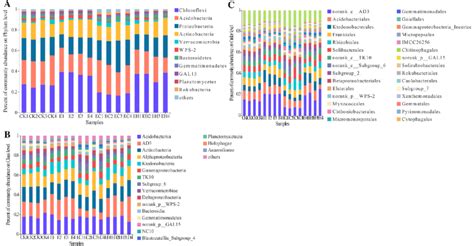 Soil Bacterial Community Composition Of The First Rotation Eucalyptus