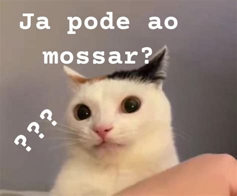 Ja Pode Ao Mossar IFunny Brazil