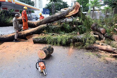 Avenida De Agosto Liberada Ap S Interdi O Por Conta De Queda De