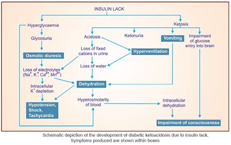 Manual Of Medicine On Twitter Schematic Depiction Of The Development