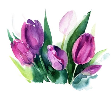 Beautiful Tulips Flowers Watercolor Painting Stock Photo Jershova