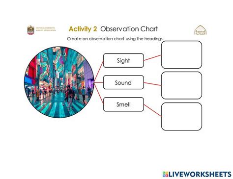 Observation Chart Online Exercise For Live Worksheets