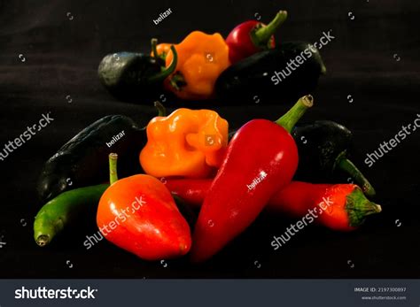 Group Different Types Chili Peppers Stock Photo 2197300897 | Shutterstock