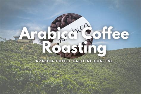 The Secret to Perfect Arabica Coffee Roasting and Understanding Arabica ...