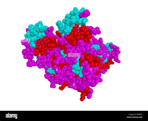 Estructura Molecular Del Virus Del Bola Vp Dimero Prote Na En Fondo