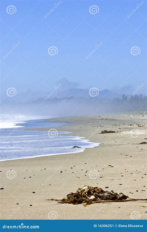 Coast of Pacific Ocean in Canada Stock Image - Image of nature, island ...