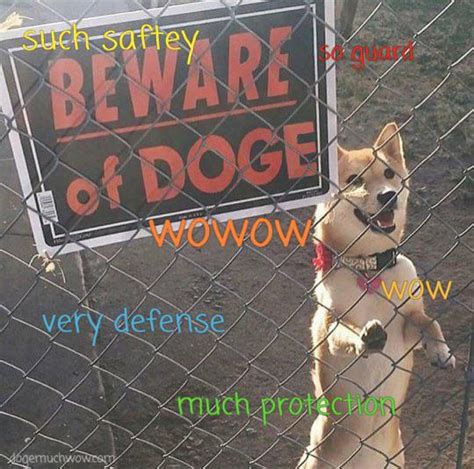 Beware Rdogecoin