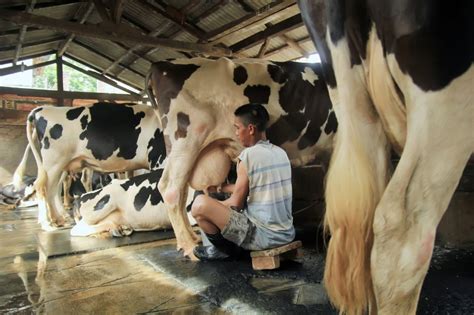 Sector Agropecuario Creci En En El Primer Semestre Del A O