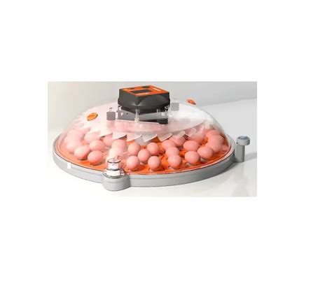 Vevor N Incubators For Hatching Eggs User Manual