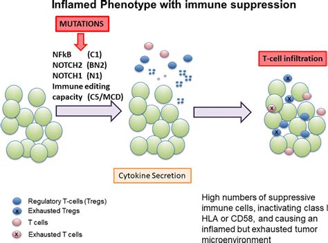 Evolving Insights Into The Genomic Complexity And Immune Landscape Of