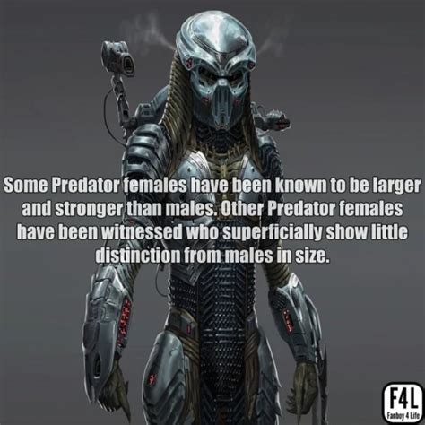 The Predator Yautja 20 Thrilling Facts Fanboy 4 Life