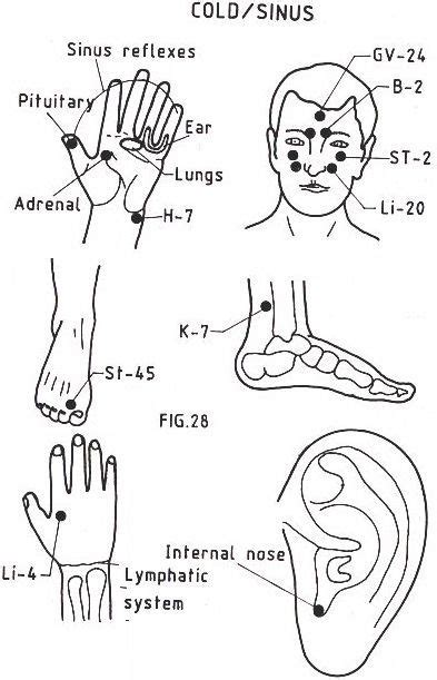 106 Best Reflexologia Acupresión Digitopuntura Masajes Images On Pinterest Massage