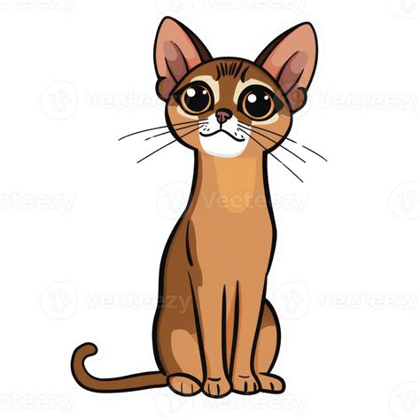 Abyssinian cat icon transparent 50476793 PNG