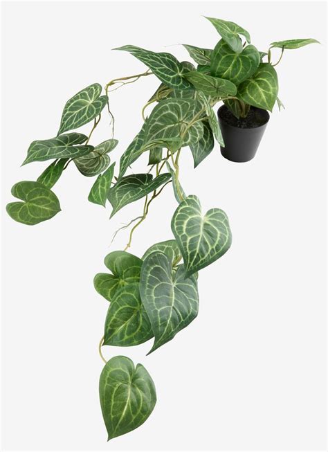 Kunstig plante KNOPPSVANE H30cm grøn JYSK