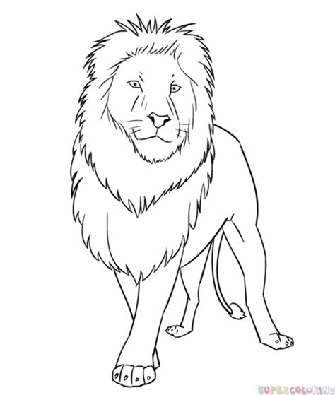 Lion Pencil Drawing For Kids