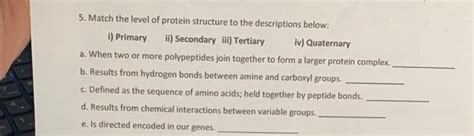Solved 5. Match the level of protein structure to the | Chegg.com