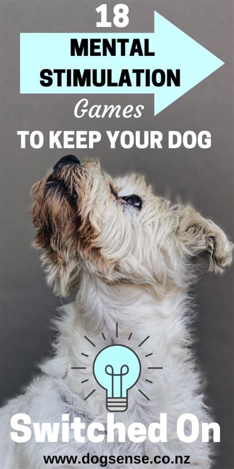 21 Super Easy Ways To Mentally Stimulate Your Dog Dog Sense