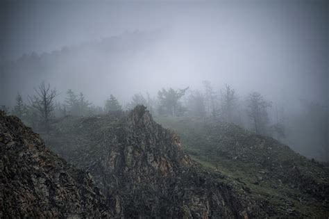 Vista panorâmica da paisagem montanhosa na floresta negra da alemanha